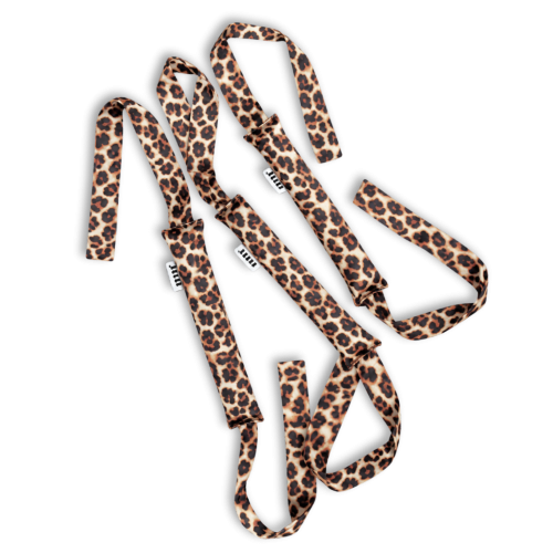 leopard.png