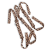 leopard.png