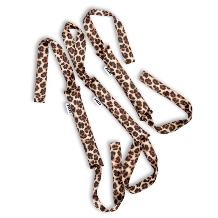 leopard.png